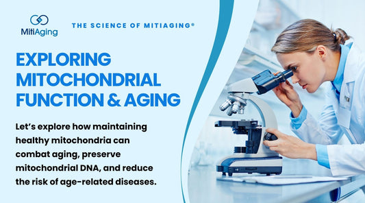 Mitochondrial Function and Aging, Longevity