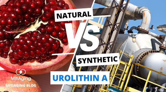 Natural Vs. Synthetic Urolithin A Comparison