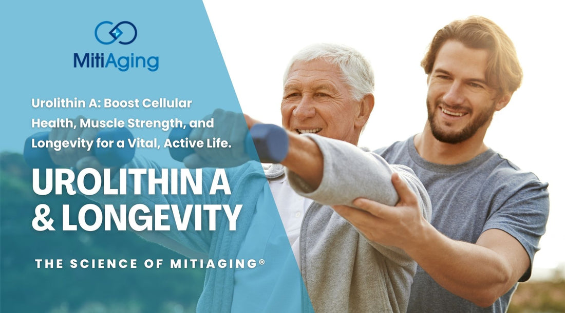 Urolithin A - Longevity, Reverse Aging