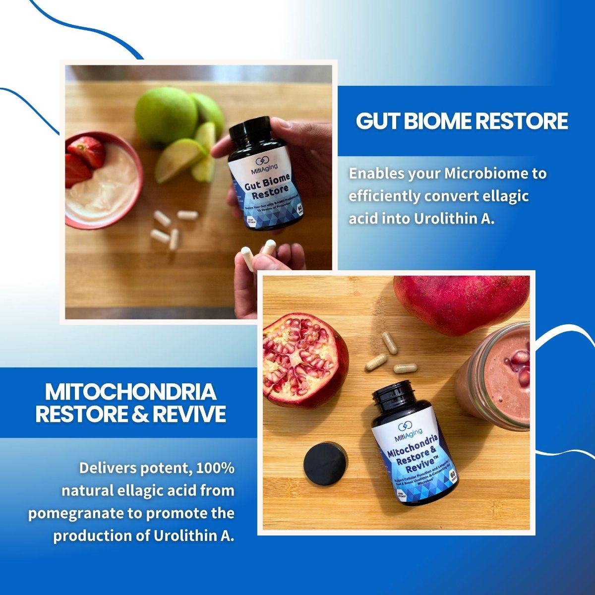 MitiAging Basic - Mitochondrial Restore & Revive + Gut Biome Restore Bundle - LIfe style with Pomegranate 